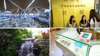 2020年中馬旅游年文化藝術(shù)美食深度游